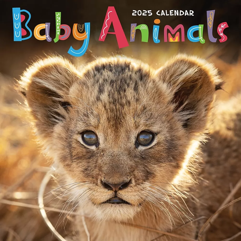 TF Publishing 2025 Calendars<2025 12" x 12" Baby Animals Wall Calendar (25-1000)