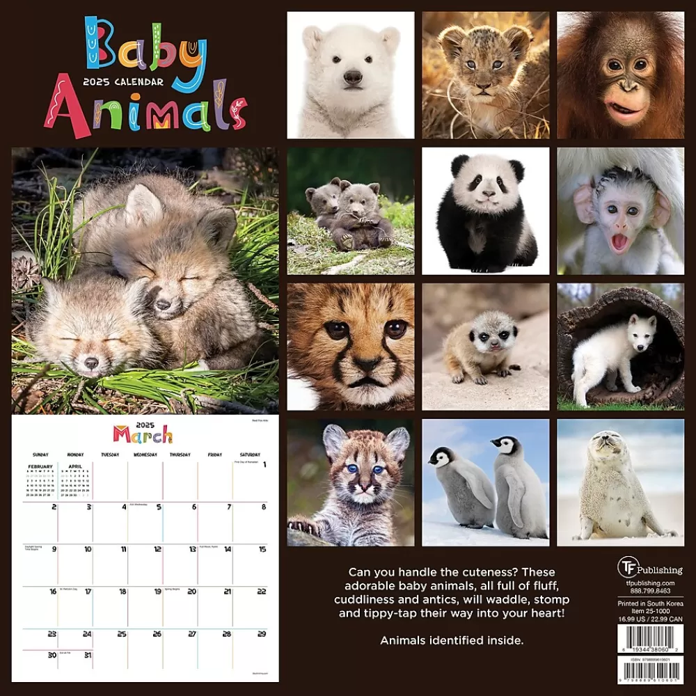 TF Publishing 2025 Calendars<2025 12" x 12" Baby Animals Wall Calendar (25-1000)