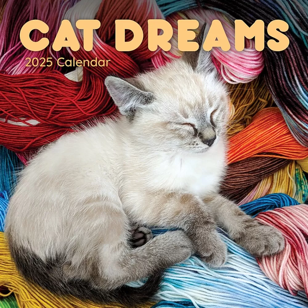 TF Publishing 2025 Calendars<2025 12" x 12" Cat Dreams Wall Calendar (25-1003)