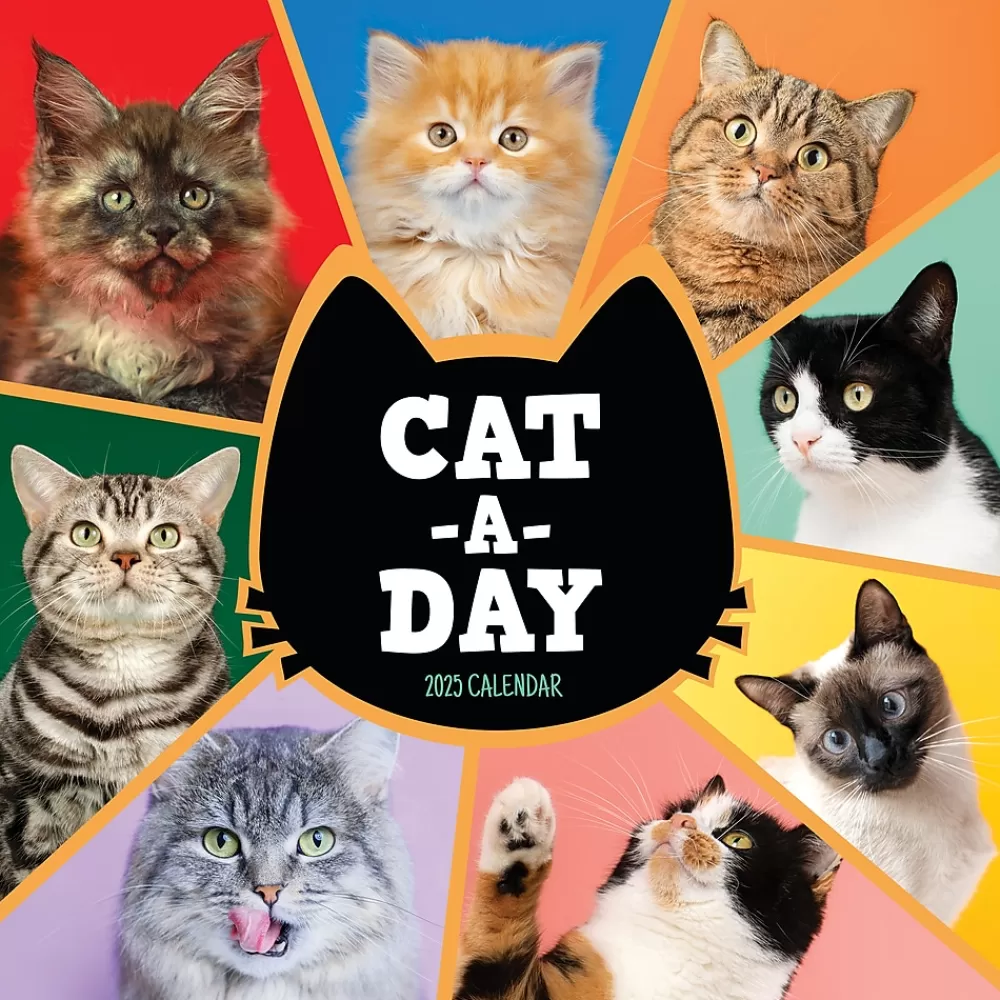 TF Publishing 2025 Calendars<2025 12" x 12" Cat-A-Day Wall Calendar (25-1002)