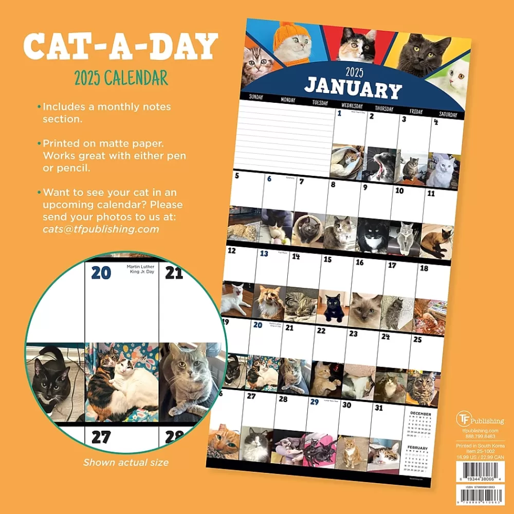 TF Publishing 2025 Calendars<2025 12" x 12" Cat-A-Day Wall Calendar (25-1002)