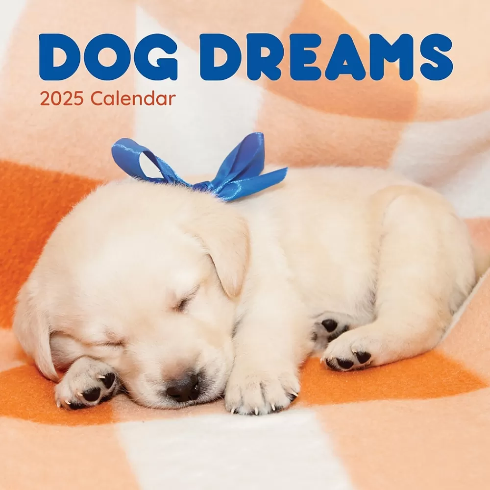 TF Publishing 2025 Calendars<2025 12" x 12" Dog Dreams Wall Calendar (25-1010)