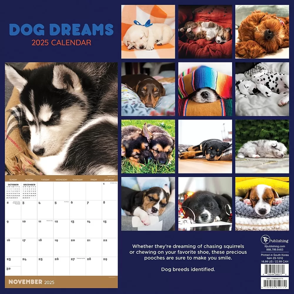 TF Publishing 2025 Calendars<2025 12" x 12" Dog Dreams Wall Calendar (25-1010)