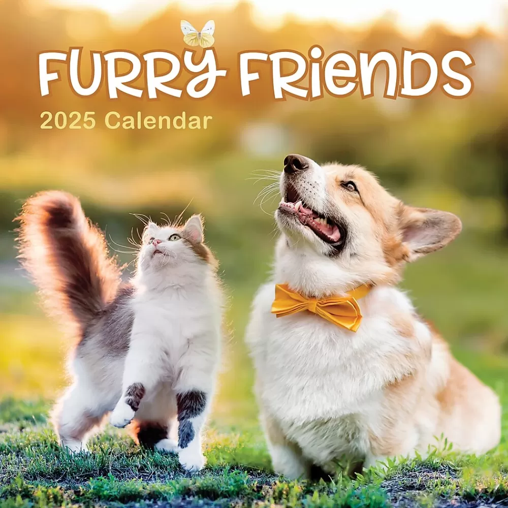 TF Publishing 2025 Calendars<2025 12" x 12" Furry Friends Wall Calendar (25-1011)