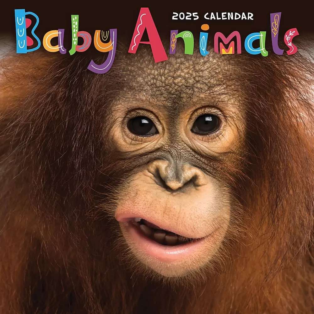 TF Publishing 2025 Calendars<2025 Baby Animals 7" x 7" Monthly Wall Calendar (25-2000)