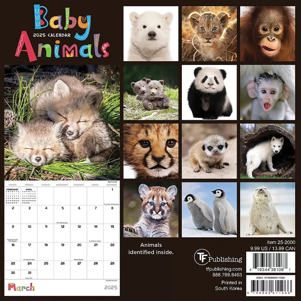 TF Publishing 2025 Calendars<2025 Baby Animals 7" x 7" Monthly Wall Calendar (25-2000)