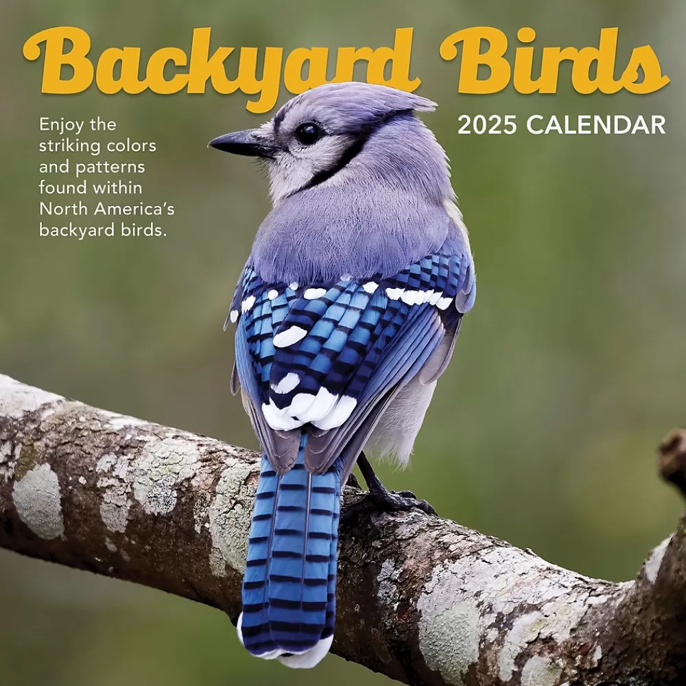 TF Publishing 2025 Calendars<2025 Backyard Birds 12" x 12" Monthly Wall Calendar (25-1033)