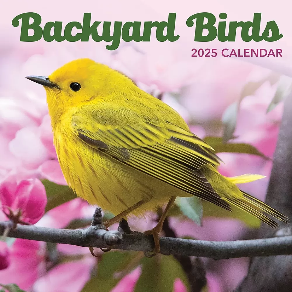 TF Publishing 2025 Calendars<2025 Backyard Birds 7" x 7" Monthly Wall Calendar (25-2013)