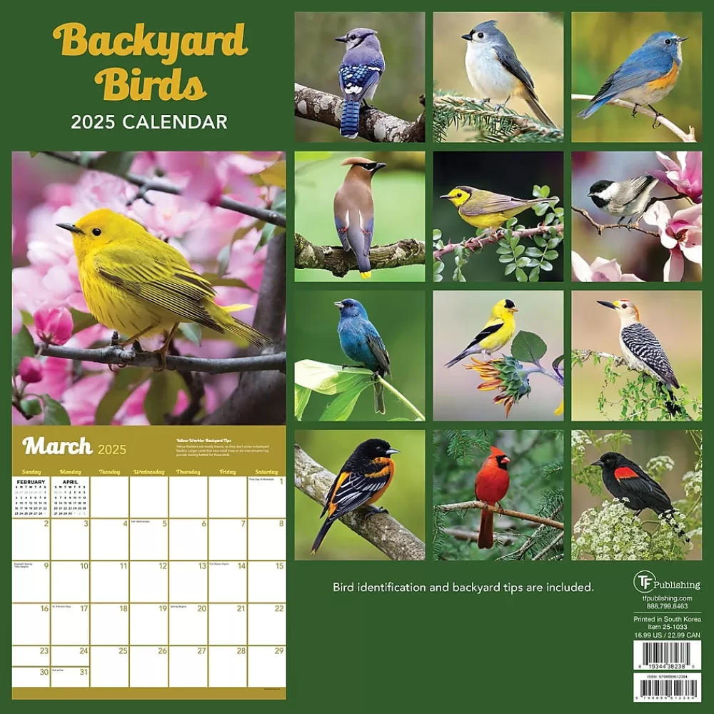 TF Publishing 2025 Calendars<2025 Backyard Birds 12" x 12" Monthly Wall Calendar (25-1033)