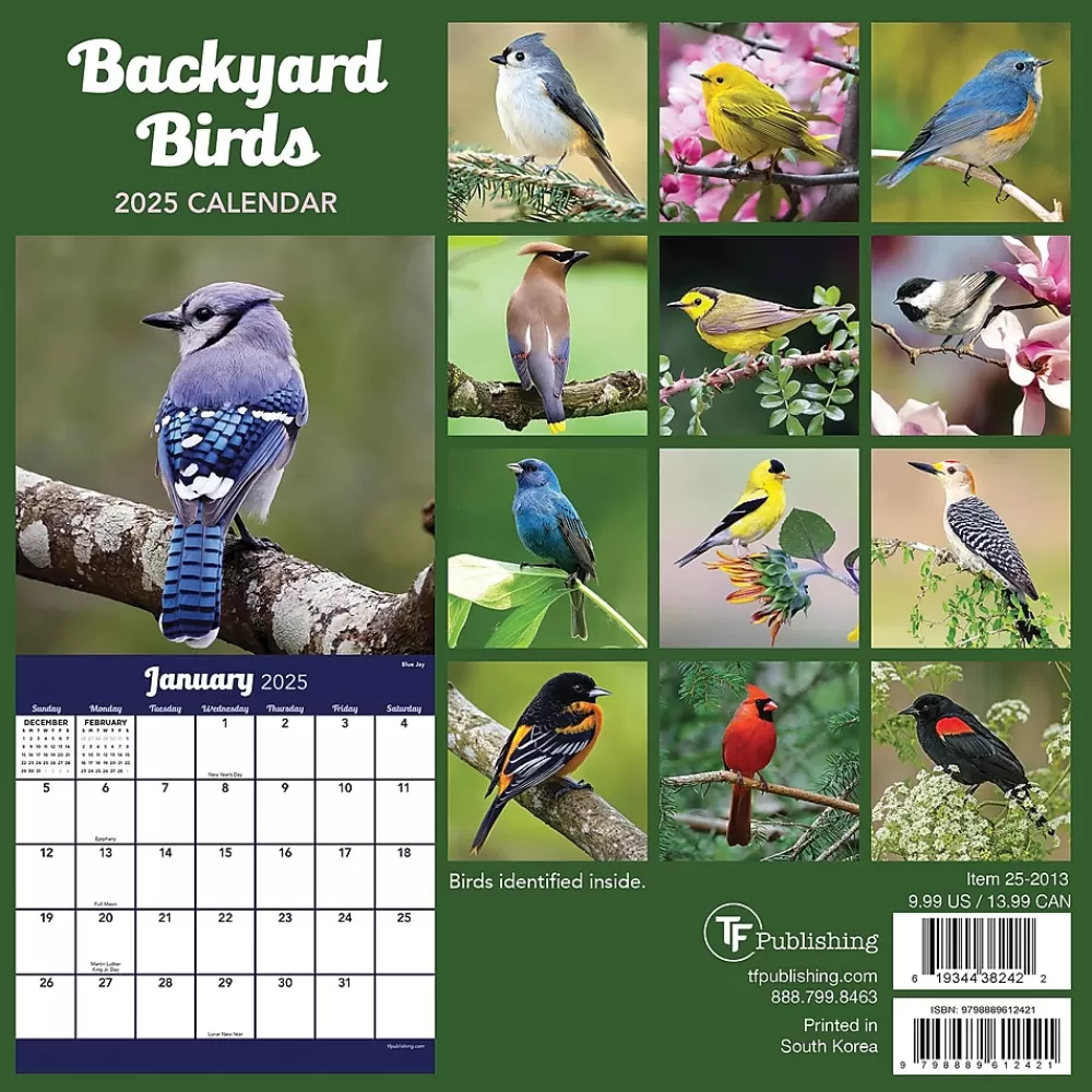 TF Publishing 2025 Calendars<2025 Backyard Birds 7" x 7" Monthly Wall Calendar (25-2013)