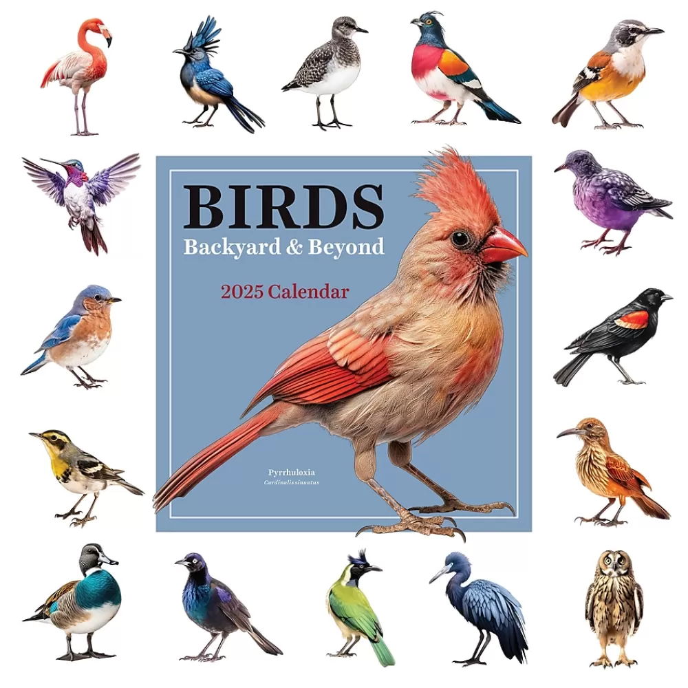 TF Publishing 2025 Calendars<2025 Birds: Backyard and Beyond 12" x 12" Monthly Wall Calendar (25-1121)