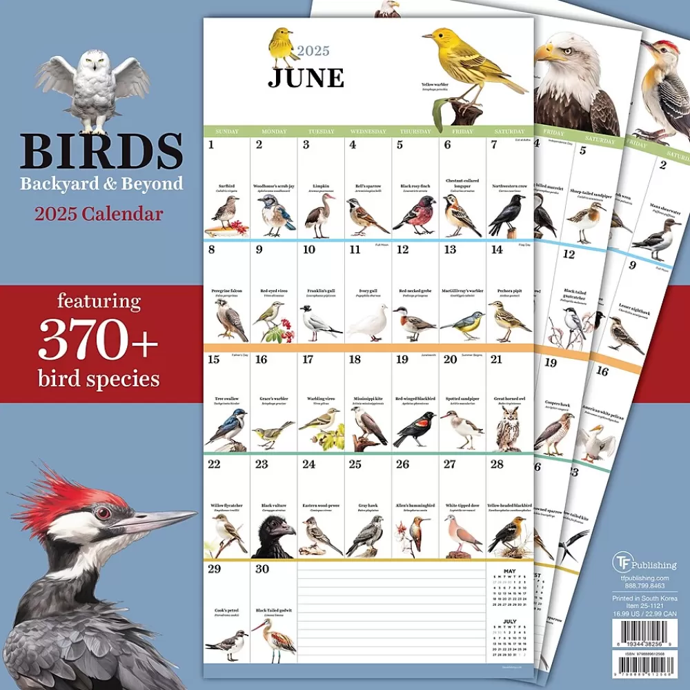 TF Publishing 2025 Calendars<2025 Birds: Backyard and Beyond 12" x 12" Monthly Wall Calendar (25-1121)