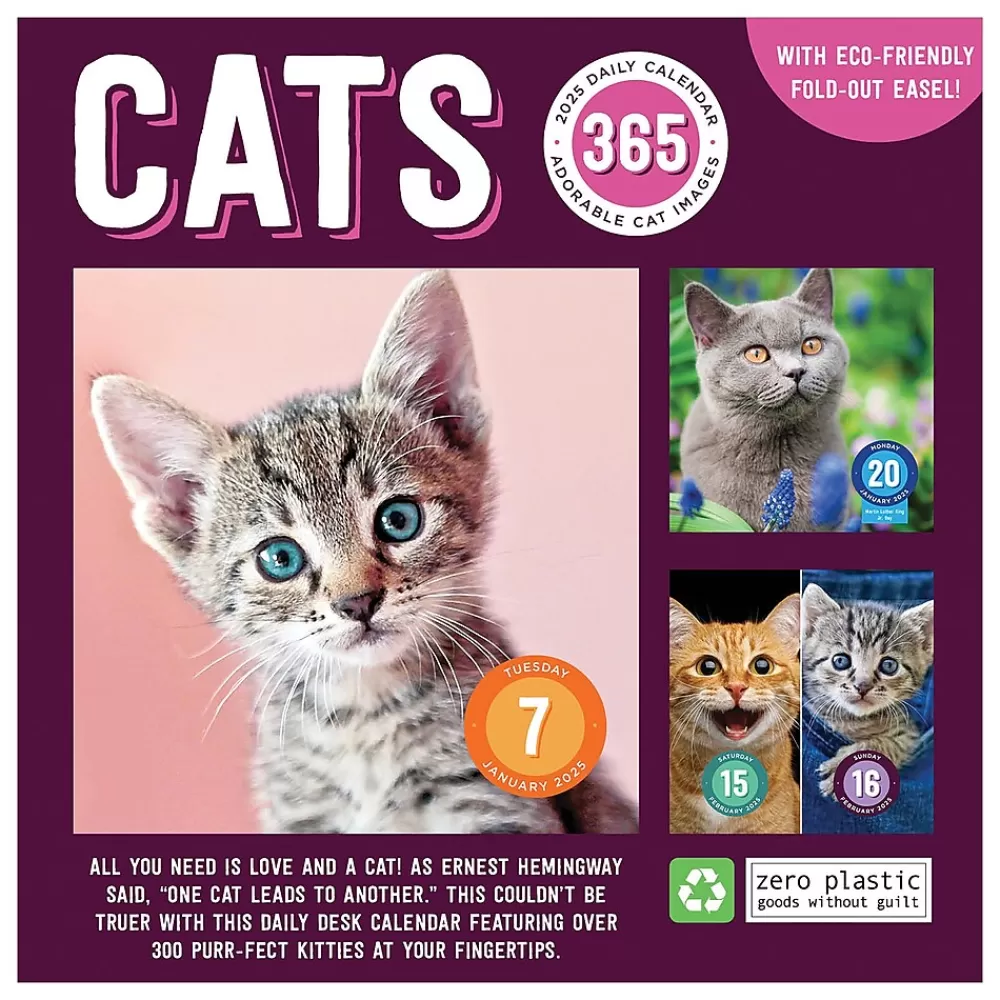 TF Publishing 2025 Calendars<2025 Cat A Day 5.25" x 5.25" Day-to-Day Calendar (25-3002)