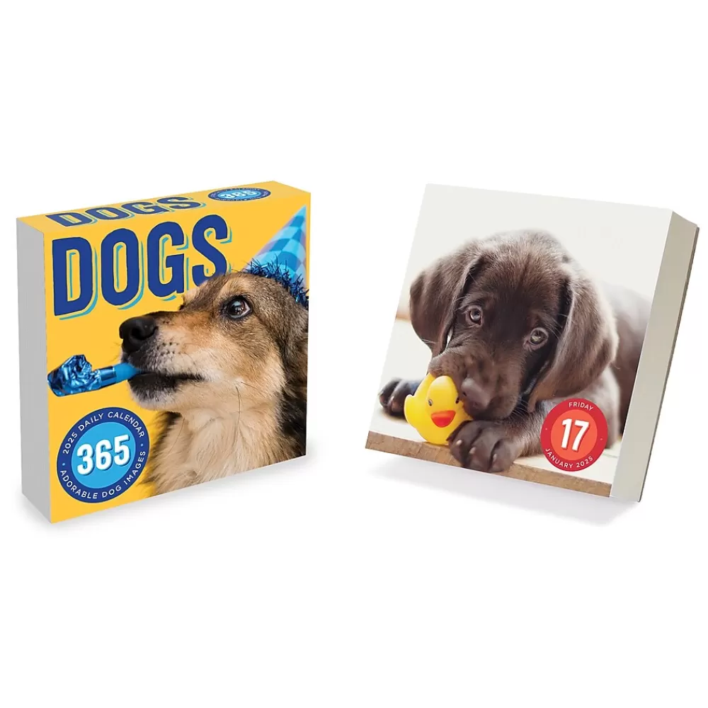 TF Publishing 2025 Calendars<2025 Dog A Day 5.25" x 5.25" Day-to-Day Calendar (25-3008)