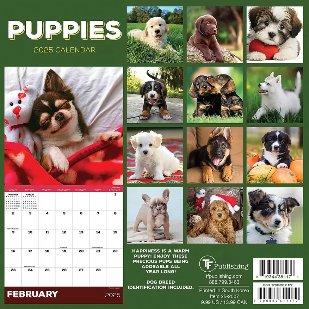 TF Publishing 2025 Calendars<2025 Puppies 7" x 7" Monthly Wall Calendar (25-2007)