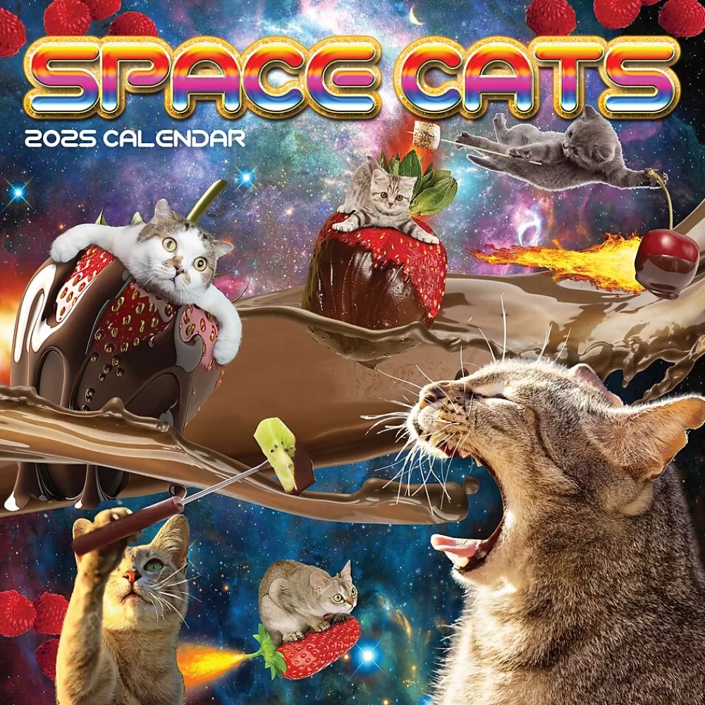 TF Publishing 2025 Calendars<2025 Space Cats 12" x 12" Monthly Wall Calendar (25-1026)