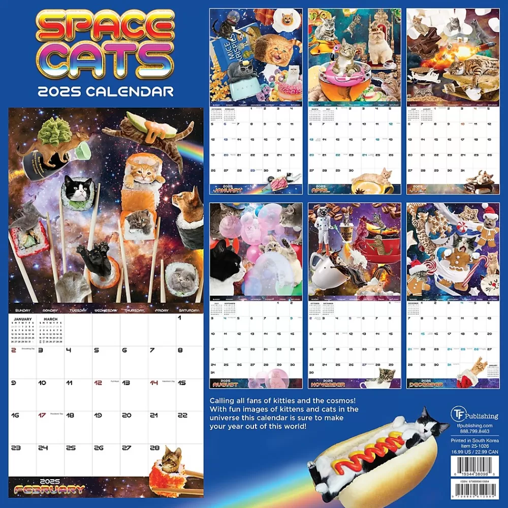 TF Publishing 2025 Calendars<2025 Space Cats 12" x 12" Monthly Wall Calendar (25-1026)