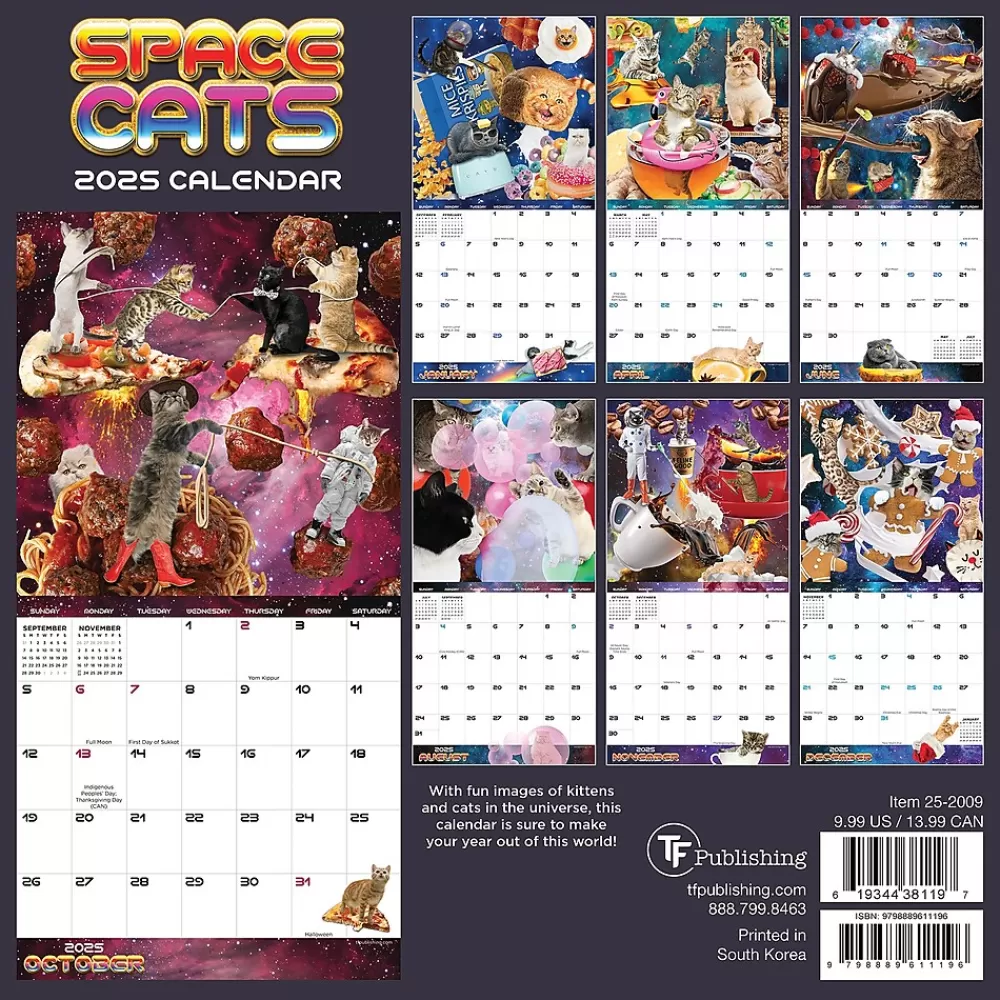 TF Publishing 2025 Calendars<2025 Space Cats 7" x 7" Monthly Wall Calendar (25-2009)