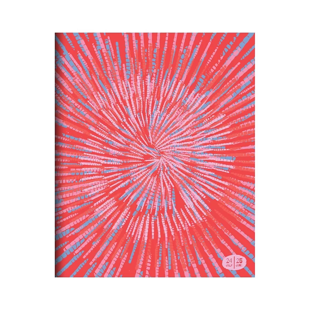 TF Publishing Academic Planners<2024-2025 Spiral Print 9" x 11" Academic Monthly Planner, Paperboard Cover, Multicolor (AY25-4516)
