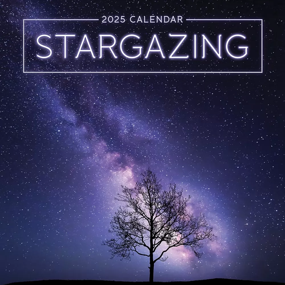 TF Publishing 2025 Calendars<2025 Stargazing 7" x 7" Monthly Wall Calendar (25-2010)