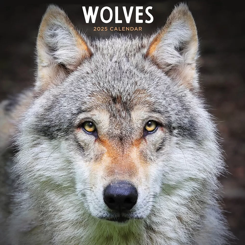 TF Publishing 2025 Calendars<2025 Wolves 12" x 12" Monthly Wall Calendar (25-1035)