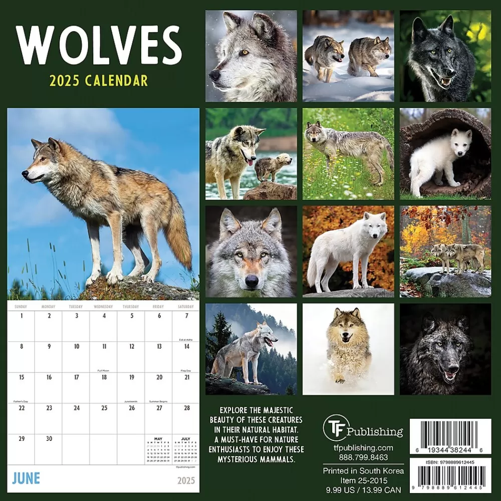 TF Publishing 2025 Calendars<2025 Wolves 7" x 7" Monthly Wall Calendar (25-2015)