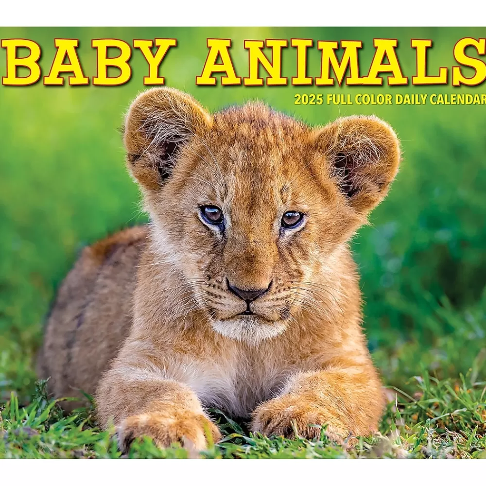 Willow Creek 2025 Calendars<2025 Baby Animals 6.2" x 5.4" Daily Desk Calendar (40607)