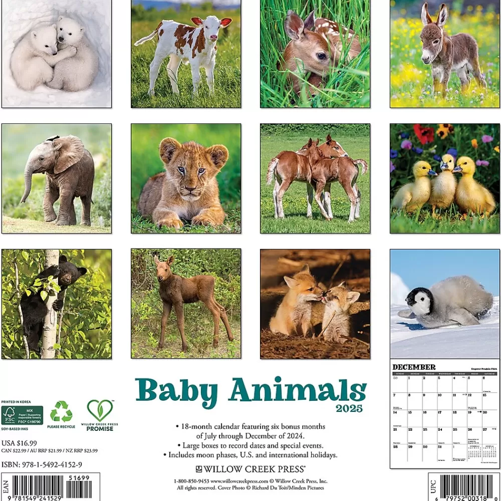 Willow Creek 2025 Calendars<2025 Baby Animals 12" x 12" Monthly Wall Calendar (41529)