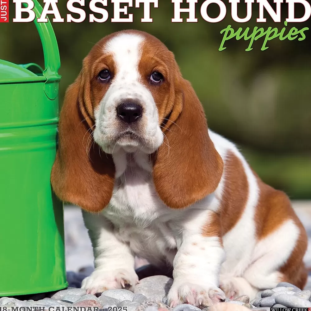 Willow Creek 2025 Calendars<2025 Basset Hound Puppies 12" x 12" Yearly Wall Calendar (41598)