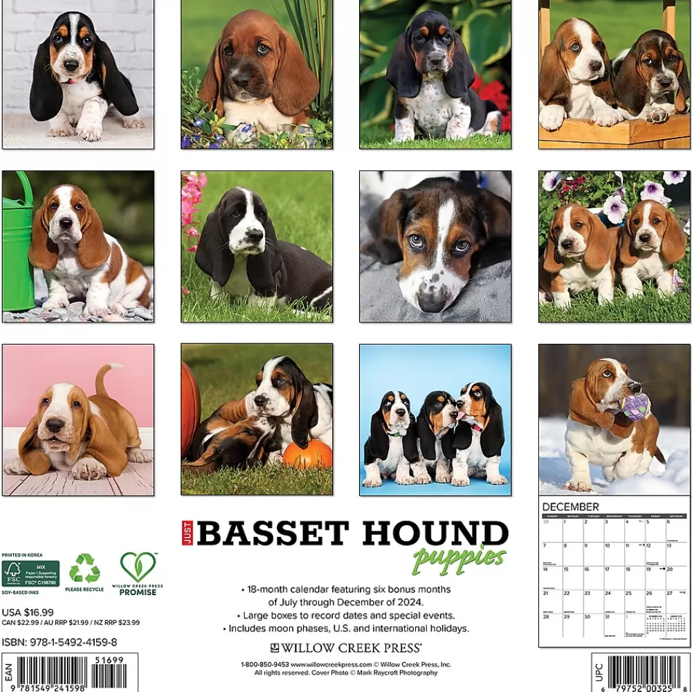 Willow Creek 2025 Calendars<2025 Basset Hound Puppies 12" x 12" Yearly Wall Calendar (41598)