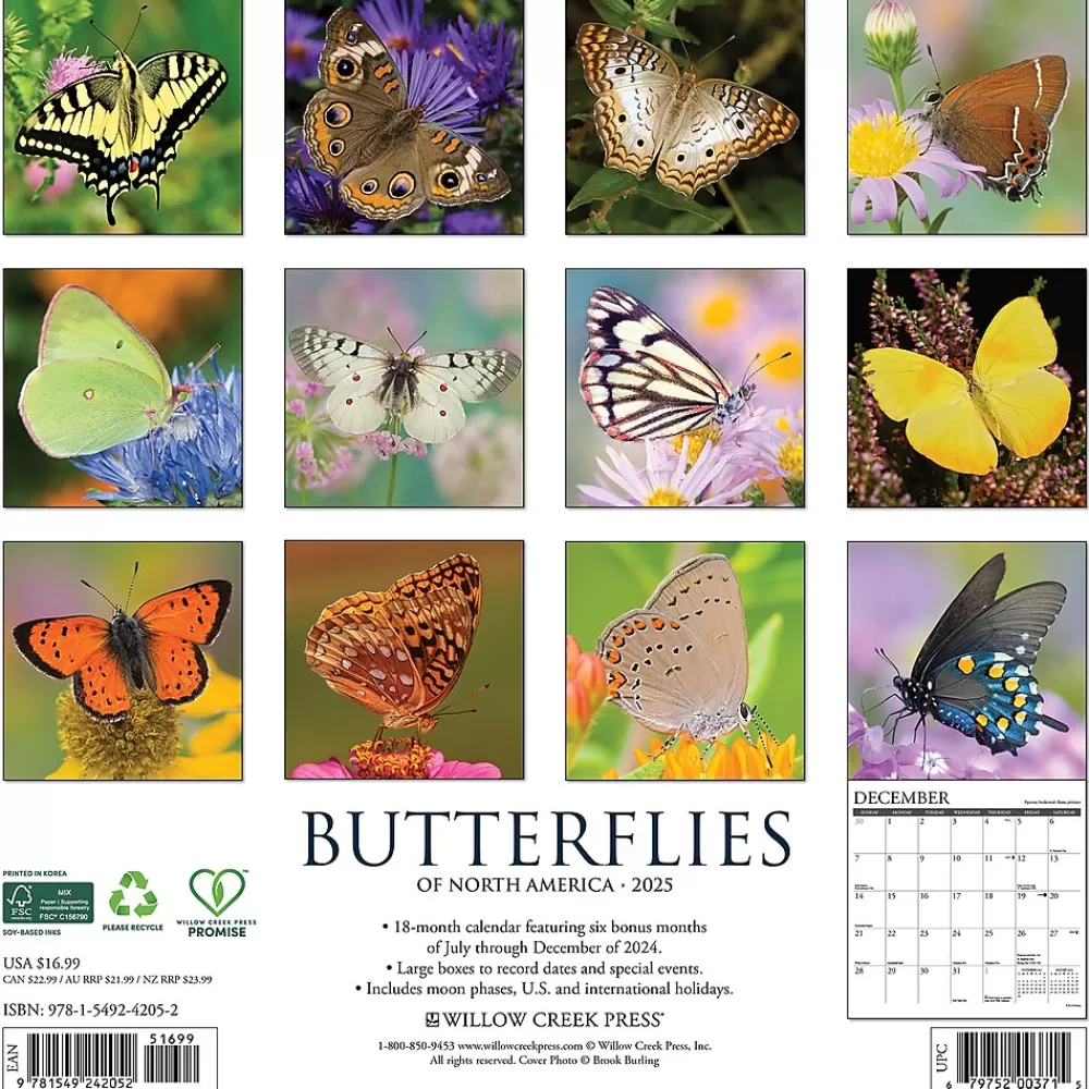 Willow Creek 2025 Calendars<2025 Butterflies 12" x 12" Monthly Wall Calendar (42052)