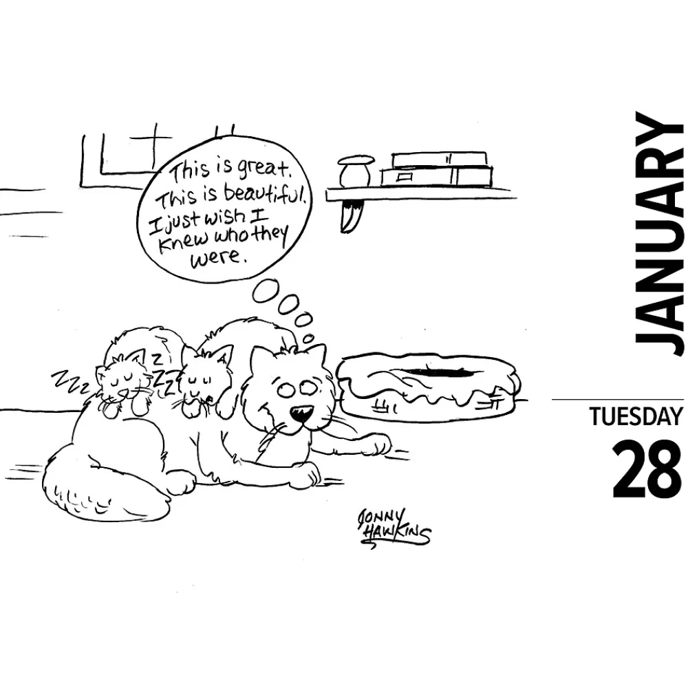 Willow Creek 2025 Calendars<2025 Cat Cartoon-A-Day by Jonny Hawkins 6" x 5.5" Day-to-Day Calendar, Multicolor (40713)