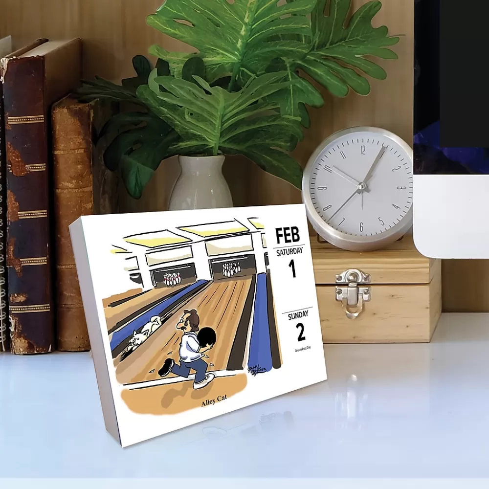 Willow Creek 2025 Calendars<2025 Cat Cartoon-A-Day by Jonny Hawkins 6" x 5.5" Day-to-Day Calendar, Multicolor (40713)