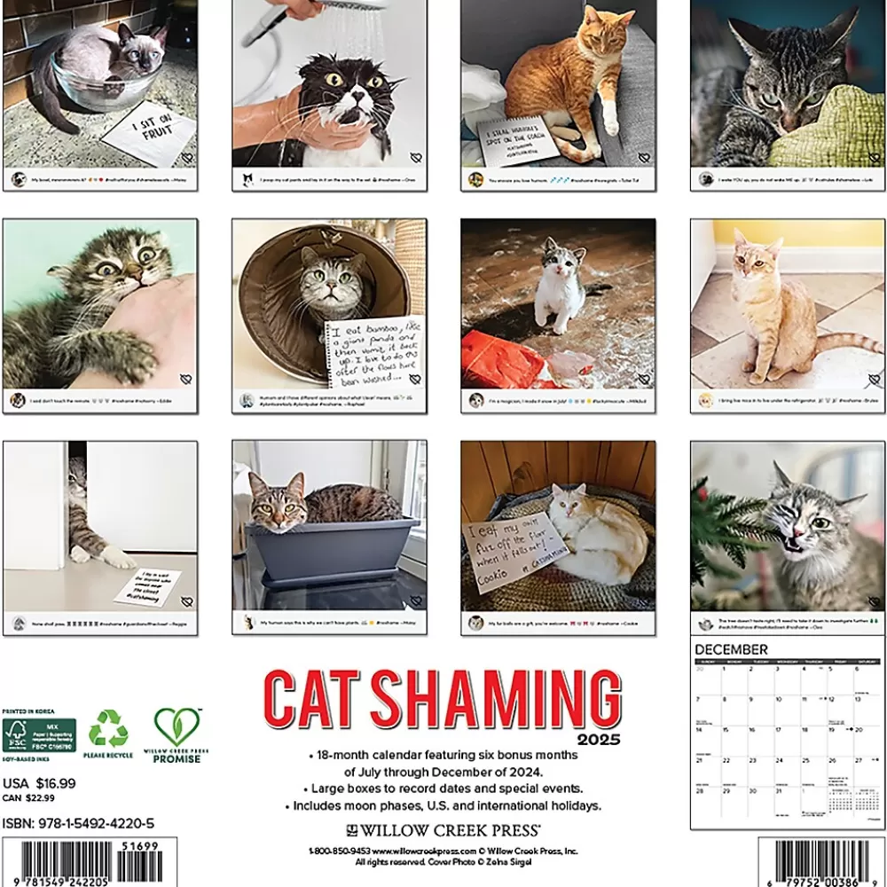 Willow Creek 2025 Calendars<2025 Cat Shaming 12" x 12" Monthly Wall Calendar (42205)