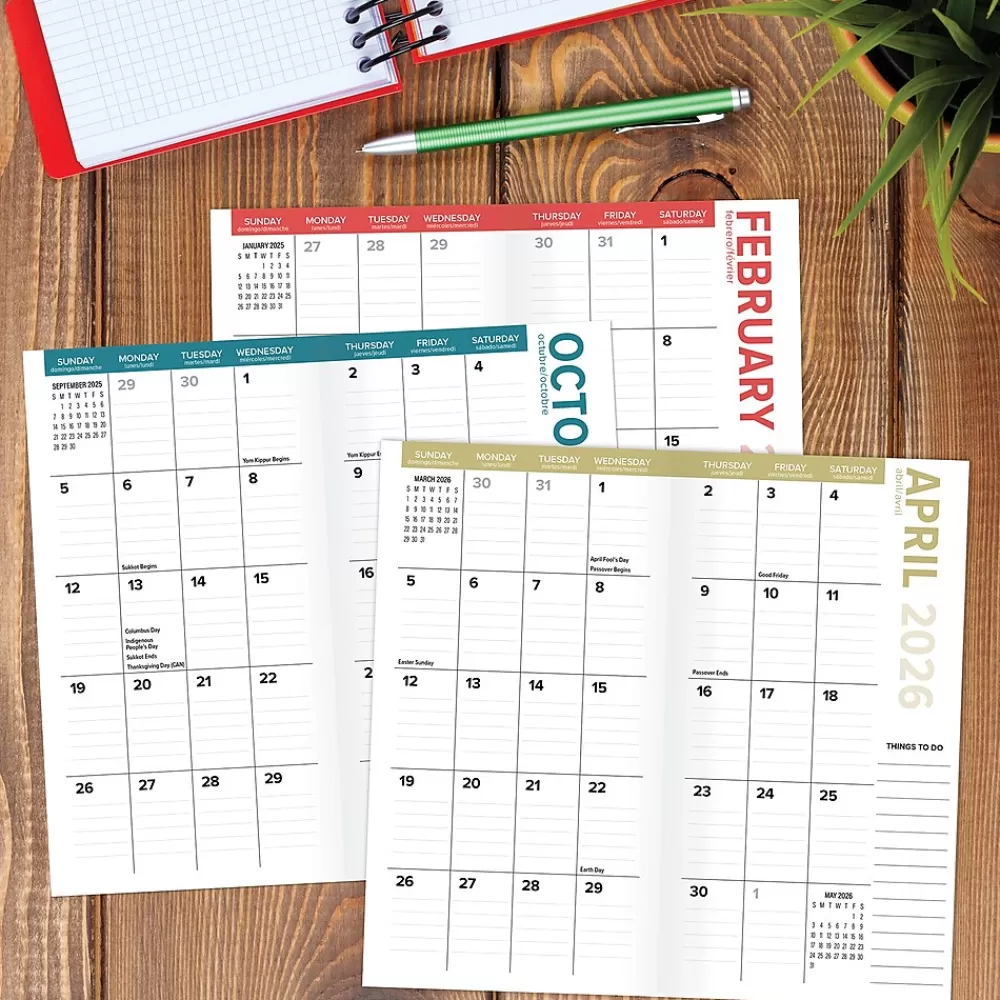 Willow Creek 2025 Planners<2025 Cat-astrophe 3.5" x 6.5" Monthly Planner Cover, Multicolored (46906)