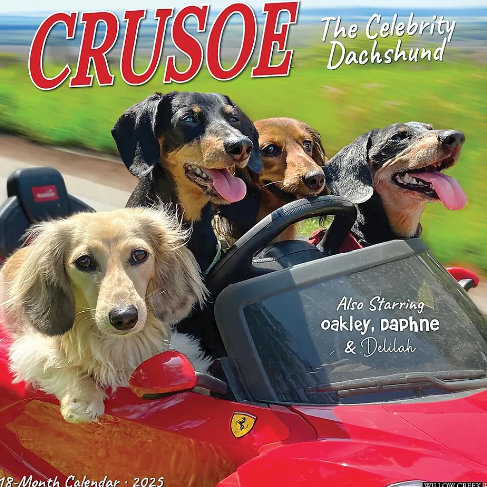 Willow Creek 2025 Calendars<2025 Crusoe the Celebrity Dachshund 12" x 12" Monthly Wall Calendar (42632)