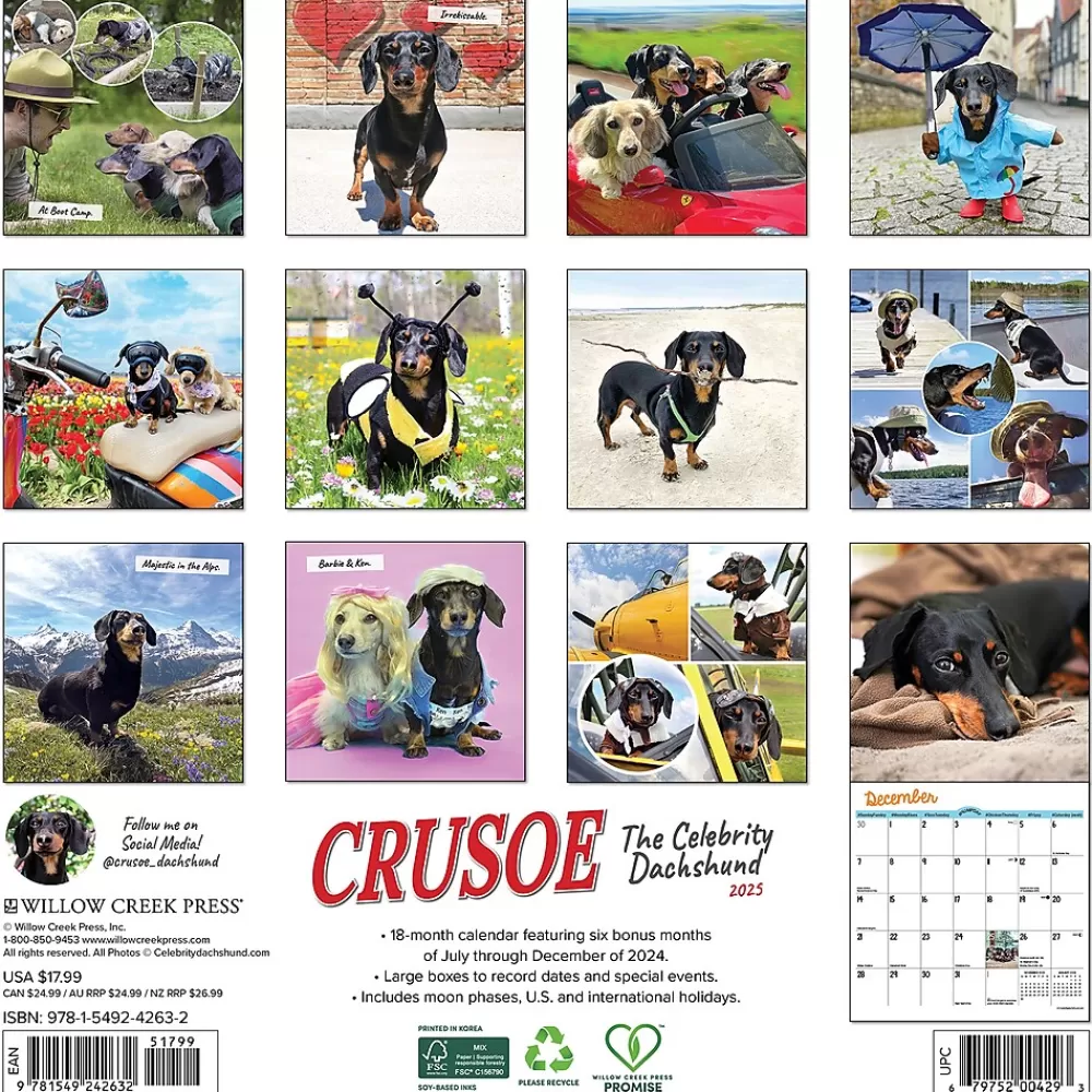 Willow Creek 2025 Calendars<2025 Crusoe the Celebrity Dachshund 12" x 12" Monthly Wall Calendar (42632)