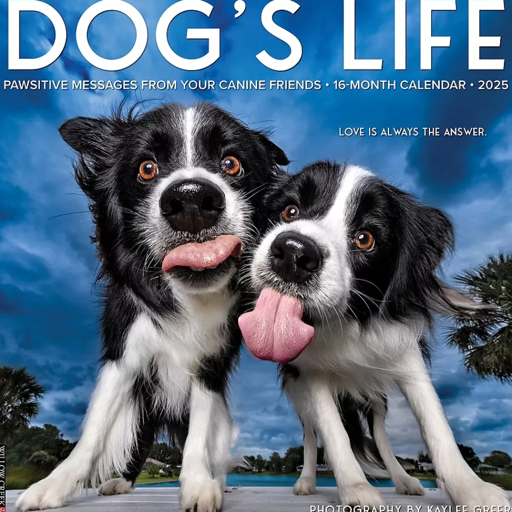 Willow Creek 2025 Calendars<2025 Dog's Life 12" x 12" Monthly Wall Calendar (42731)