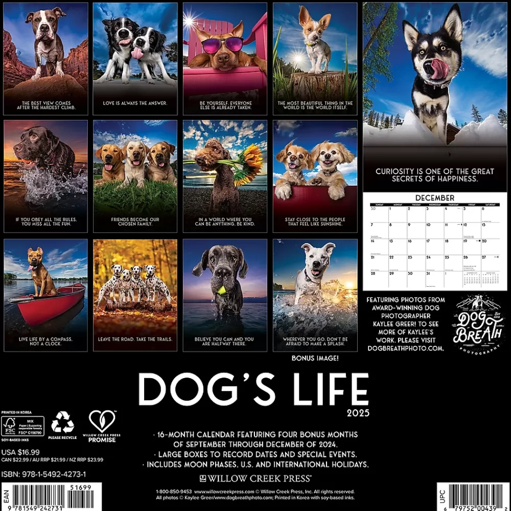 Willow Creek 2025 Calendars<2025 Dog's Life 12" x 12" Monthly Wall Calendar (42731)