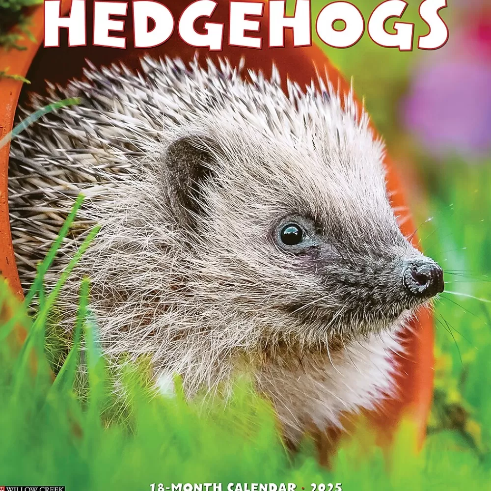 Willow Creek 2025 Calendars<2025 Hedgehogs 12" x 12" Monthly Wall Calendar (43332)