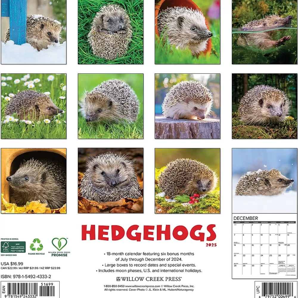 Willow Creek 2025 Calendars<2025 Hedgehogs 12" x 12" Monthly Wall Calendar (43332)