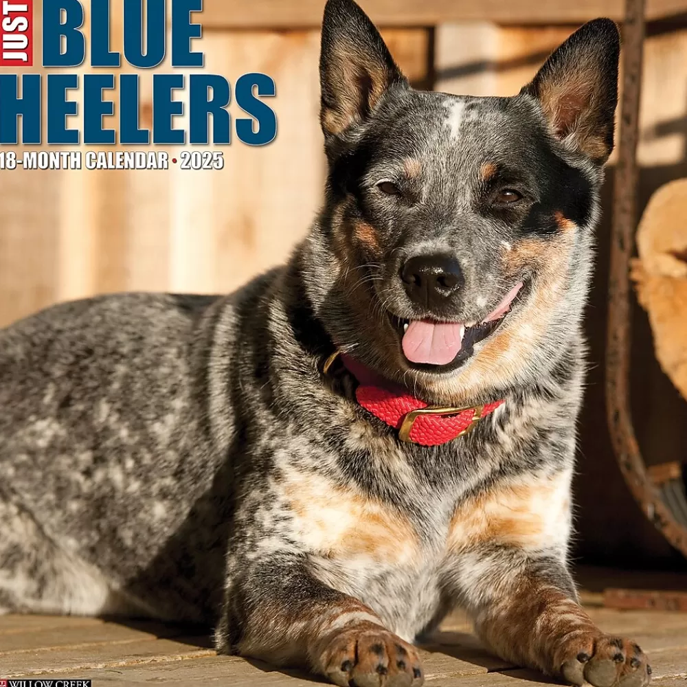Willow Creek 2025 Calendars<2025 Just Blue Heelers 12" x 12" Monthly Wall Calendar, Multicolor (41888)