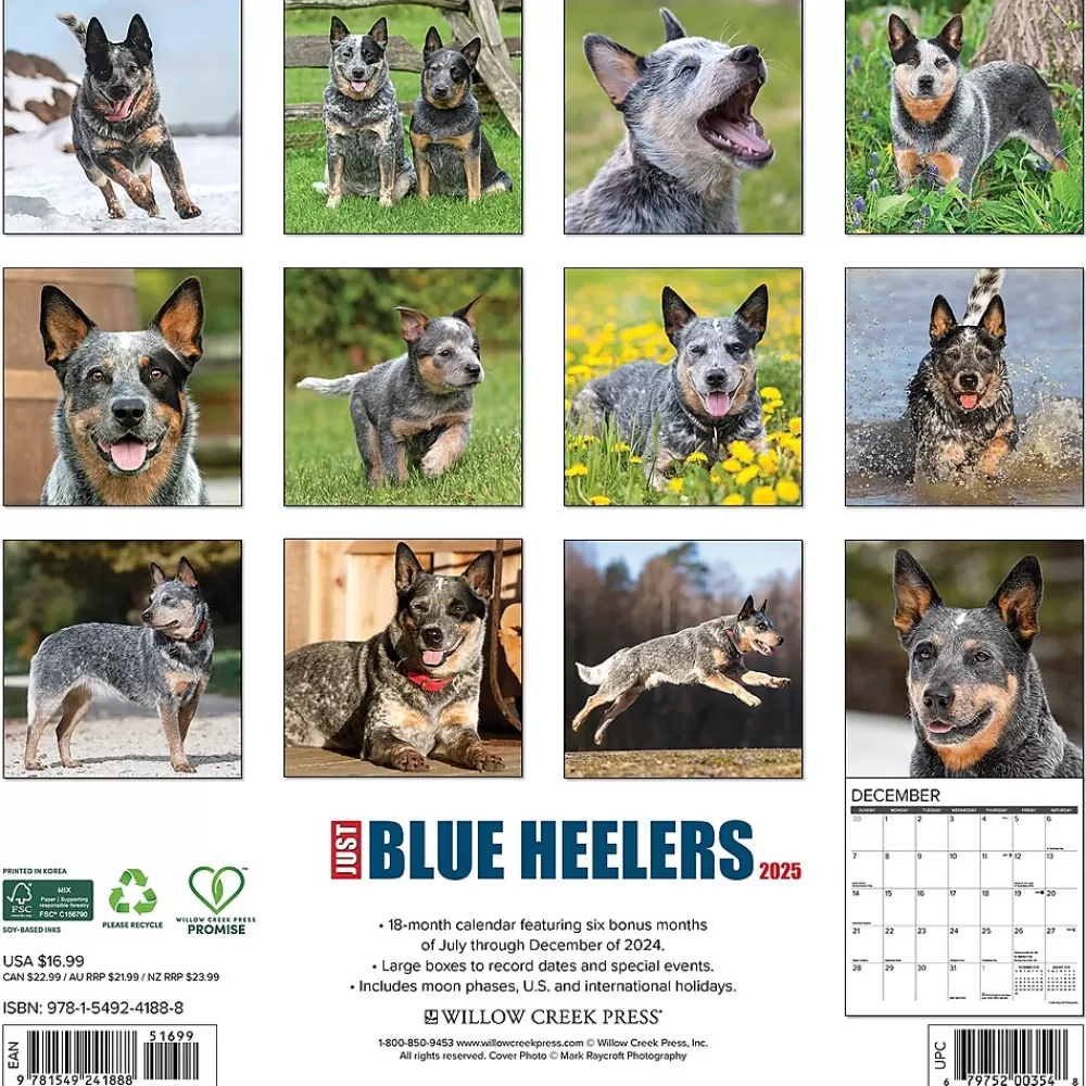 Willow Creek 2025 Calendars<2025 Just Blue Heelers 12" x 12" Monthly Wall Calendar, Multicolor (41888)