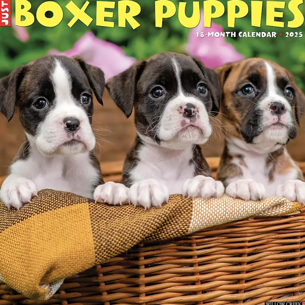 Willow Creek 2025 Calendars<2025 Just Boxer Puppies 12" x 12" Monthly Wall Calendar, Multicolor (41932)
