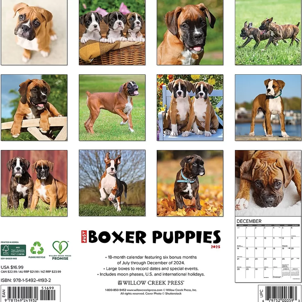 Willow Creek 2025 Calendars<2025 Just Boxer Puppies 12" x 12" Monthly Wall Calendar, Multicolor (41932)