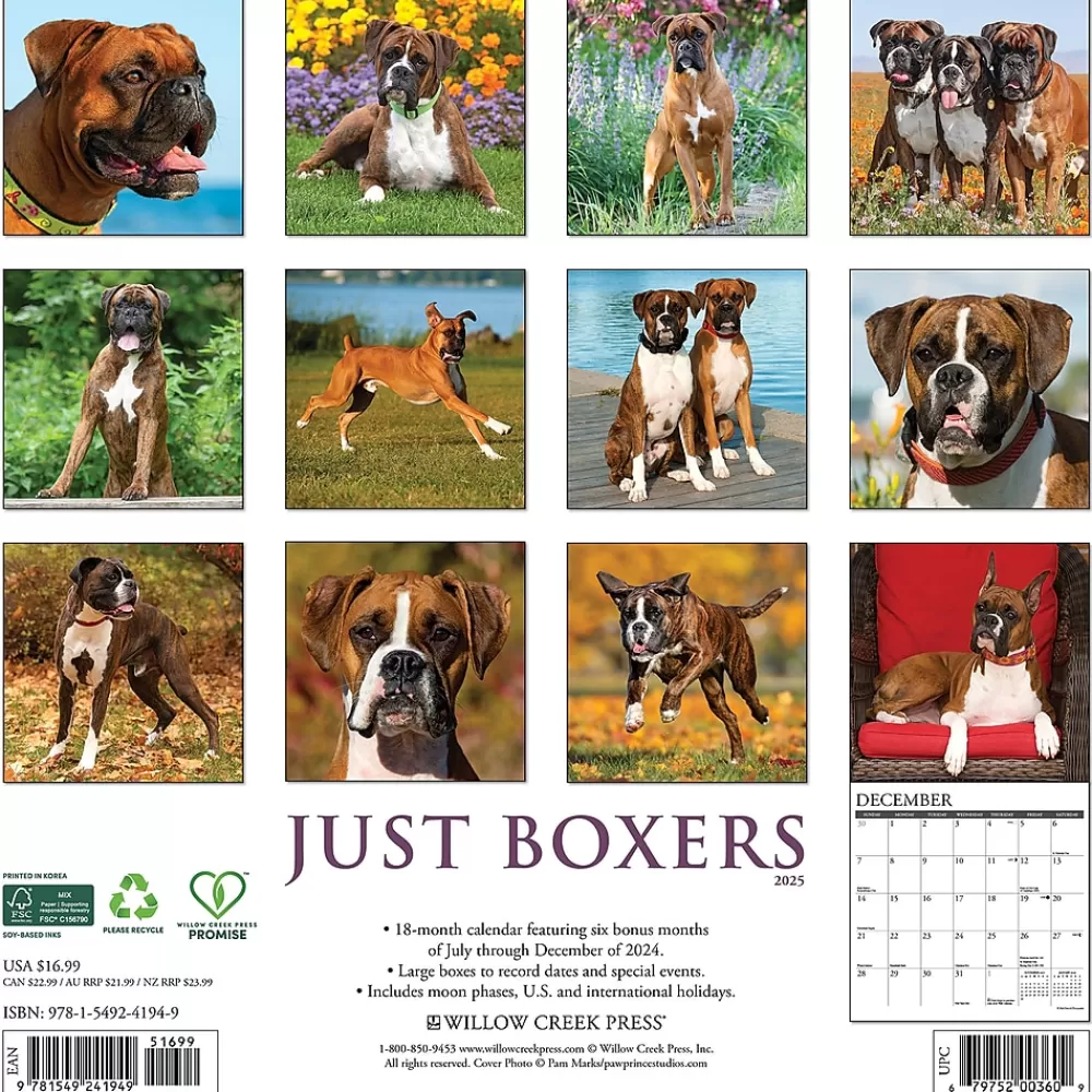 Willow Creek 2025 Calendars<2025 Just Boxers 12" x 12" Monthly Wall Calendar, Multicolor (41949)