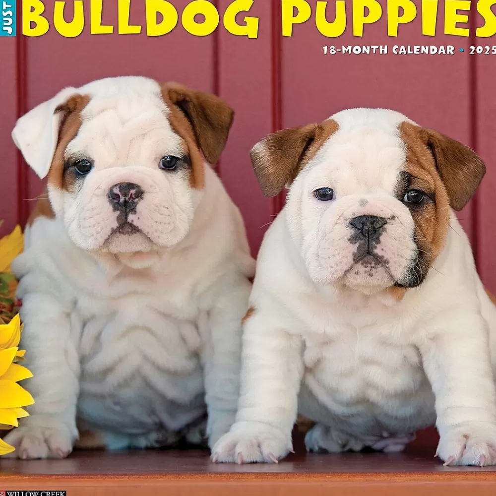 Willow Creek 2025 Calendars<2025 Just Bulldog Puppies 12" x 12" Monthly Wall Calendar, Multicolor (42021)