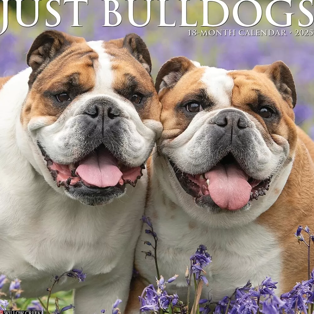 Willow Creek 2025 Calendars<2025 Just Bulldogs 12" x 12" Monthly Wall Calendar (42038)