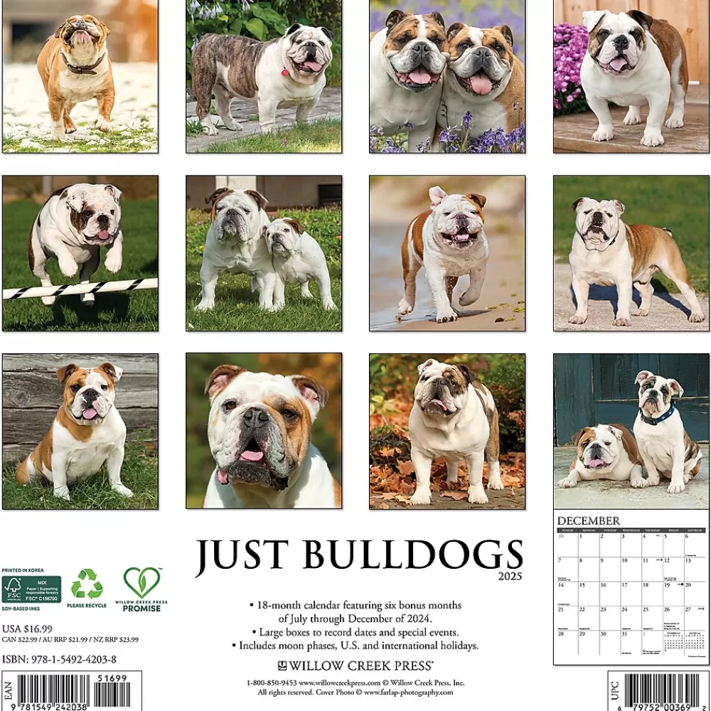 Willow Creek 2025 Calendars<2025 Just Bulldogs 12" x 12" Monthly Wall Calendar (42038)