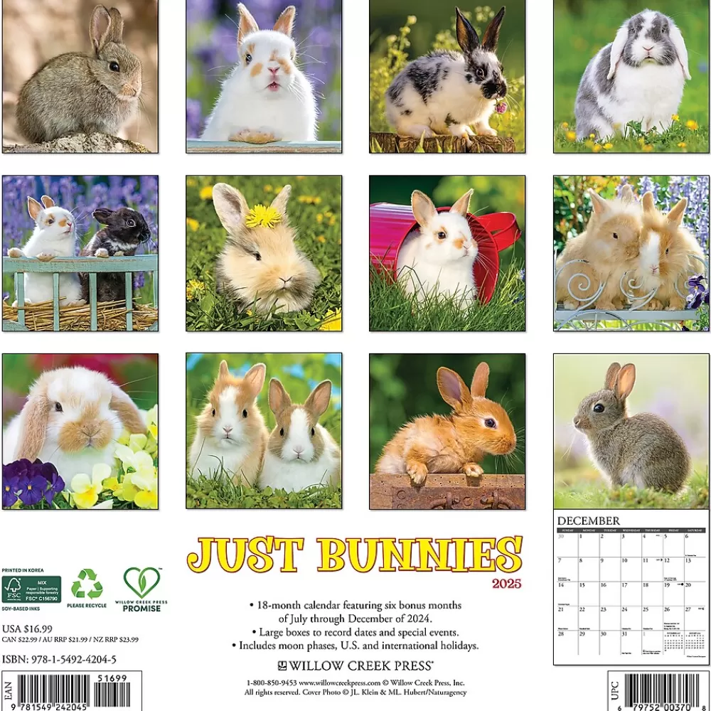 Willow Creek 2025 Calendars<2025 Just Bunnies 12" x 12" Monthly Wall Calendar (42045)